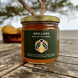 Miel de printemps